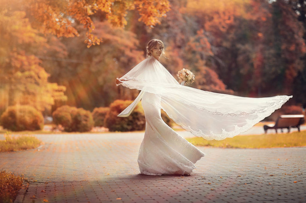 nevěsta v bílých svatební šaty   - Fotografie, Obrázek