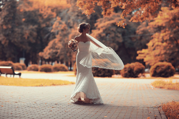 bride in white wedding dress   - Foto, Bild