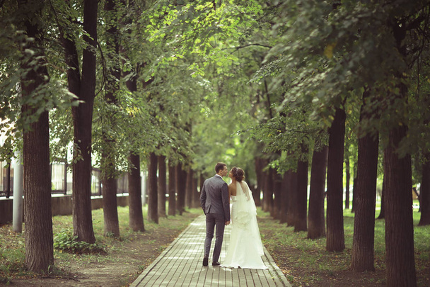 bride and groom in summer park - Photo, Image