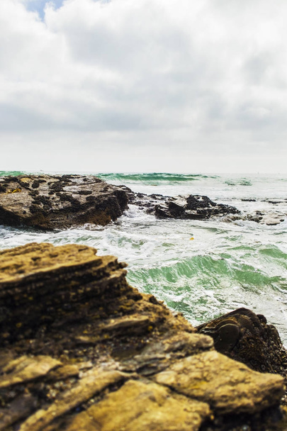 岩のビーチの海岸線 - 写真・画像