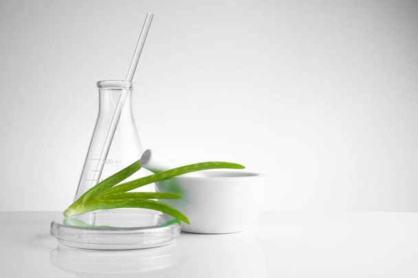gyógynövény természetes szerves és tudományos üvegáru - Fotó, kép
