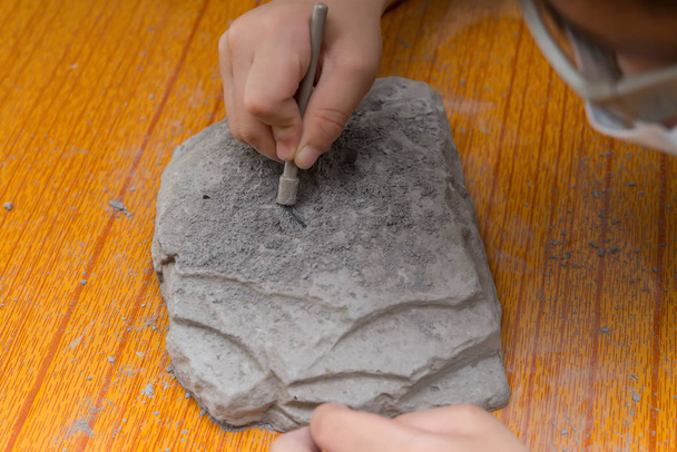παιδί εκσκαφή οστά ζώων από ένα βράχο - Φωτογραφία, εικόνα