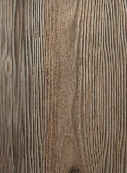 Struttura del legno primo piano
 - Foto, immagini