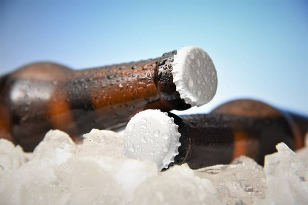beer bottles chill in ice - Photo, Image