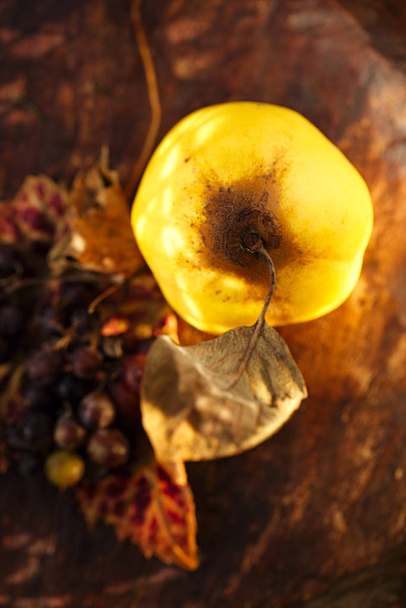quince yellow fruit  - Fotoğraf, Görsel