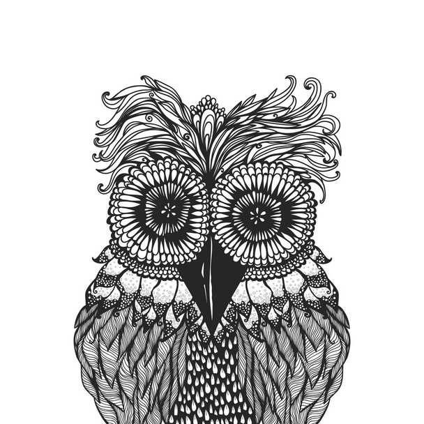 Vector illustration of an owl - Wektor, obraz