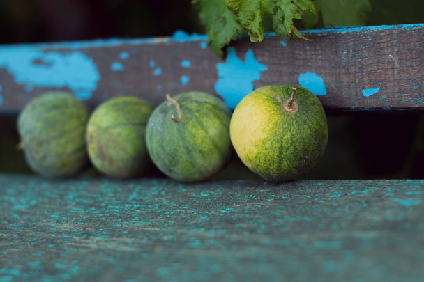Small watermelons on an old wooden background. - Photo, Image