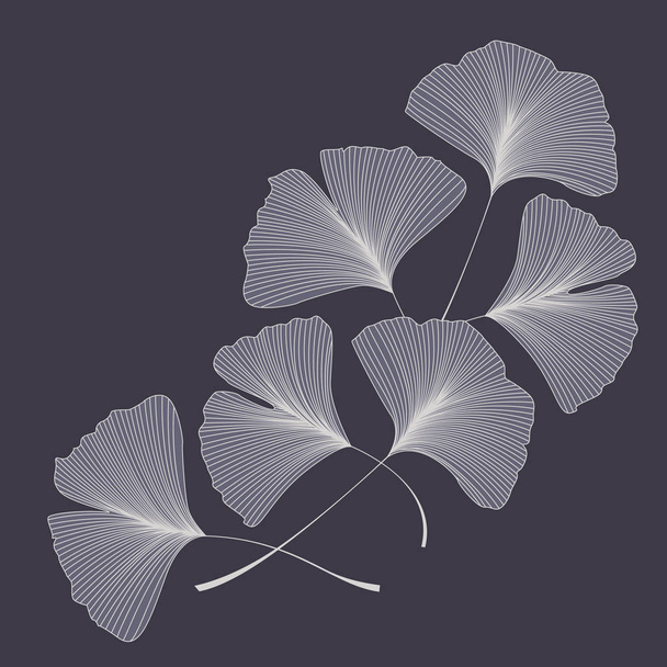 Листья гинкго билоба - Вектор,изображение