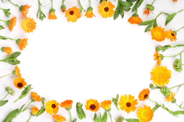Rahmen der Ringelblume. Ringelblume isoliert auf weißem Hintergrund mit Kopierplatz für Ihren Text. Ansicht von oben - Foto, Bild