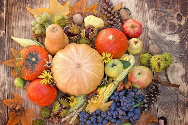 Eating healthy seasonal food (organic fruit and vegetable - Photo, image
