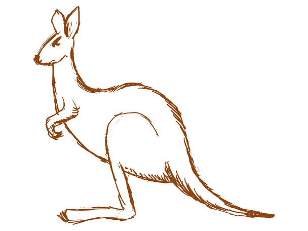 Zijaanzicht van de kangoeroe - Vector, afbeelding
