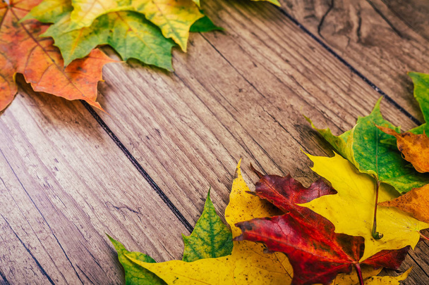 Autumn background with colorful fall maple leaves on rustic wooden table. Thanksgiving holidays concept. Green, yellow and red autumn leaves. Selective focus. - Foto, afbeelding