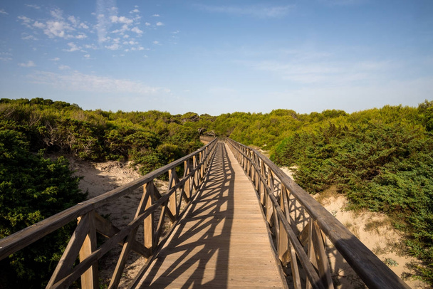 Un puente de paseo marítimo desde la playa Playa de Muro hasta la reserva natural de Can Picafort, Mallorca
 - Foto, Imagen