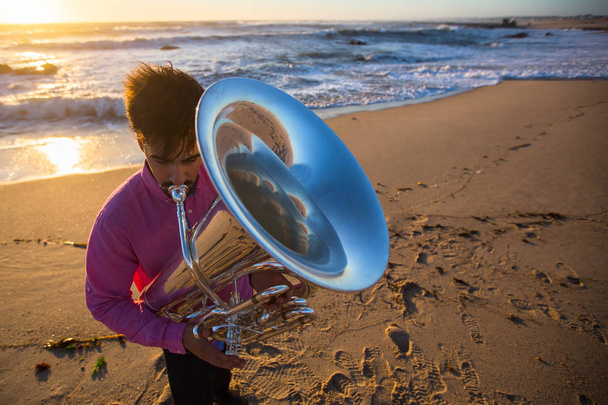 Musiker spielen Tuba  - Foto, Bild