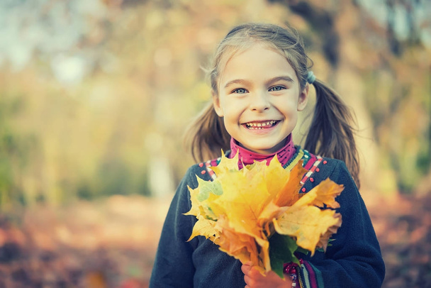 Happy little girl with autumn leaves - Fotoğraf, Görsel