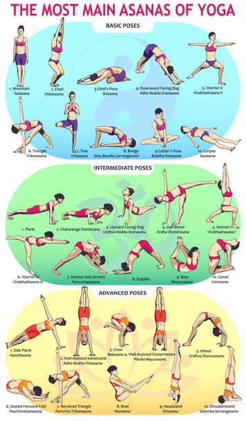 30 Yoga Main Asans - Вектор,изображение