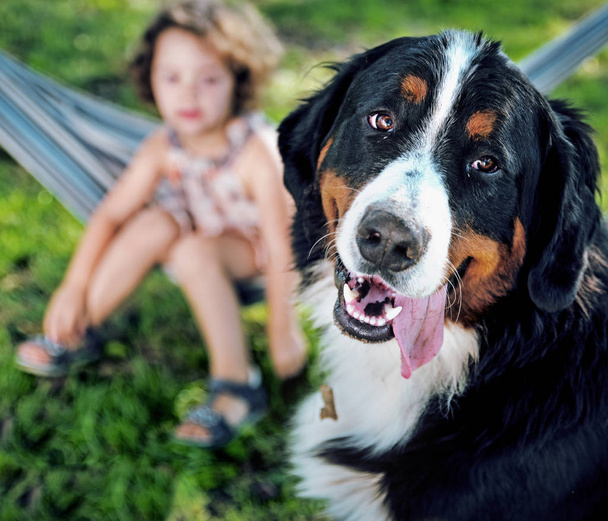 Sevimli köpek arkadaşı ile sevimli küçük kız - Fotoğraf, Görsel