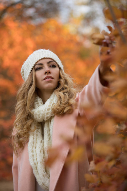 Pretty woman collect herbarium in the autumn forest, she walking in park, colorful foliage around - Фото, изображение