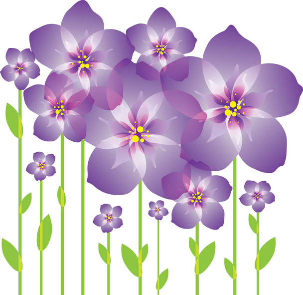 Purple abstract flowers - Vector, Image
