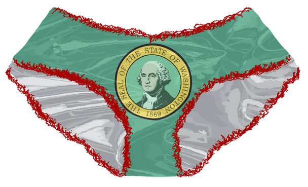 Прапор штату Вашингтон трусики - Вектор, зображення