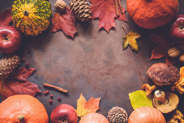 Autumn food border with copy space for text - 写真・画像