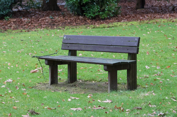 proste ławki w parku - Zdjęcie, obraz