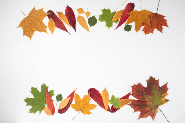 Autumn composition. Frame made of autumn leaves. Autumn background. Top view. Flat lay - Photo, Image