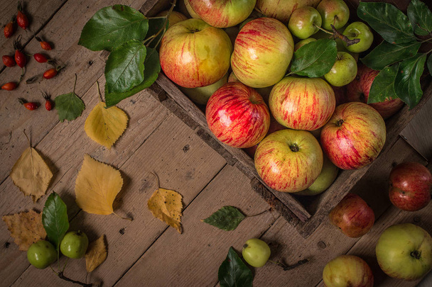 Composition with fresh apples on old wooden table. - Valokuva, kuva