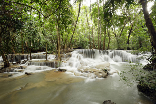 Красивий водоспад у зеленому лісі
  - Фото, зображення