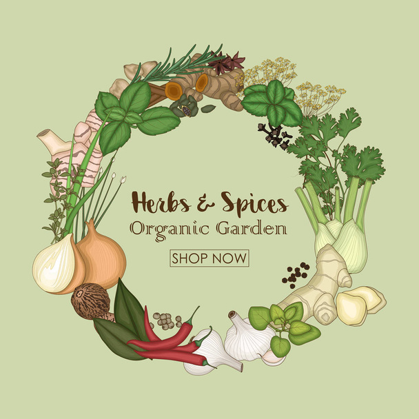 Circle wreath template with spices and herbs - Vector, Image