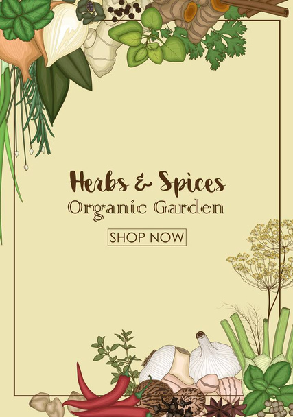 Background design with herbs and spices - Vector, Image