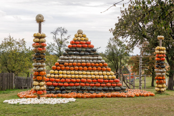 Syksyllä korjattu kurpitsat järjestetty hauskaa kuin pyramidi
 - Valokuva, kuva