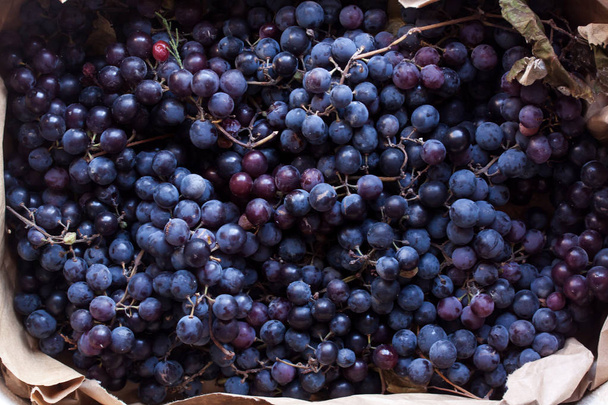 Organic Black grapes - Fotó, kép