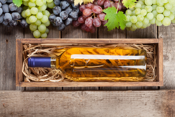 вино бутылка и виноград - Фото, изображение