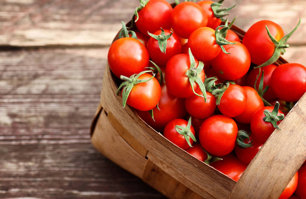 cosecha de la cesta tomate fresco
 - Foto, Imagen