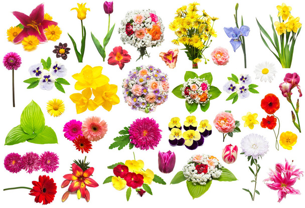 Colección creativa conjunto de flores con rosas, manzanillas, crisantemos
 - Foto, imagen