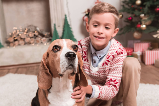 boy with beagle dog on christmas - 写真・画像