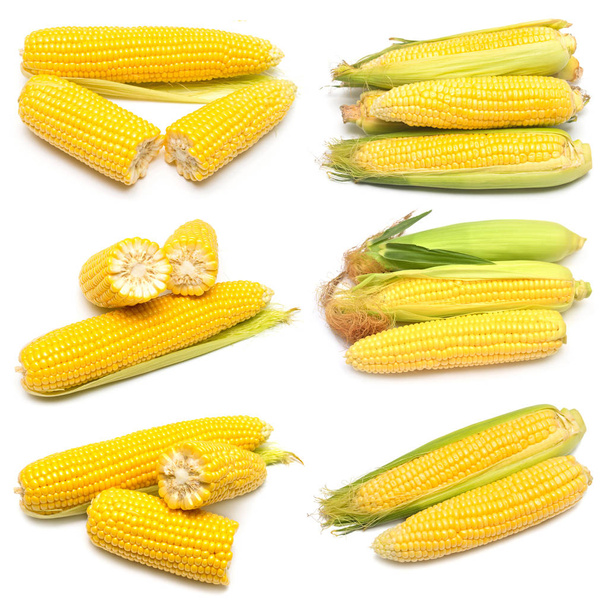 Maïs met huid of zonder huid geïsoleerd op een witte achtergrond. Een c - Foto, afbeelding