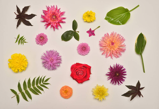 Flowers of roses, dahlias, tobacco, marigolds and leaves host, a - Zdjęcie, obraz