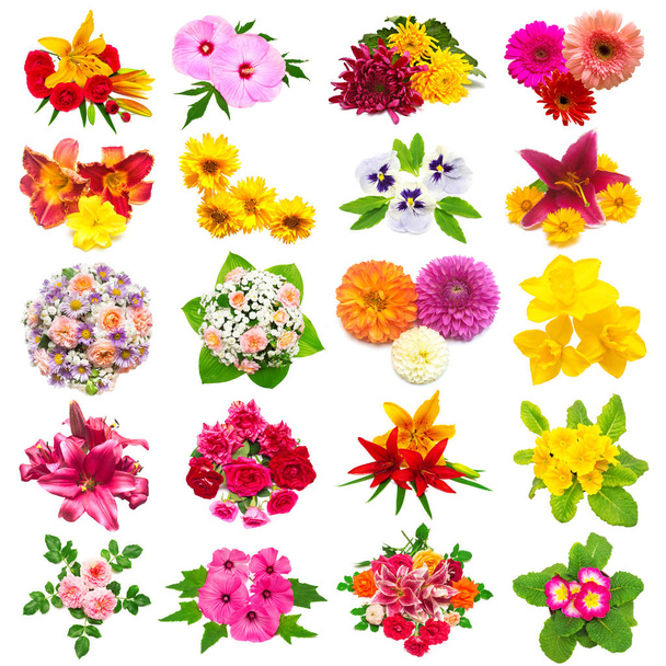 Flowers collection of roses, dahlia, lilies, chamomiles, hibiscu - Photo, Image