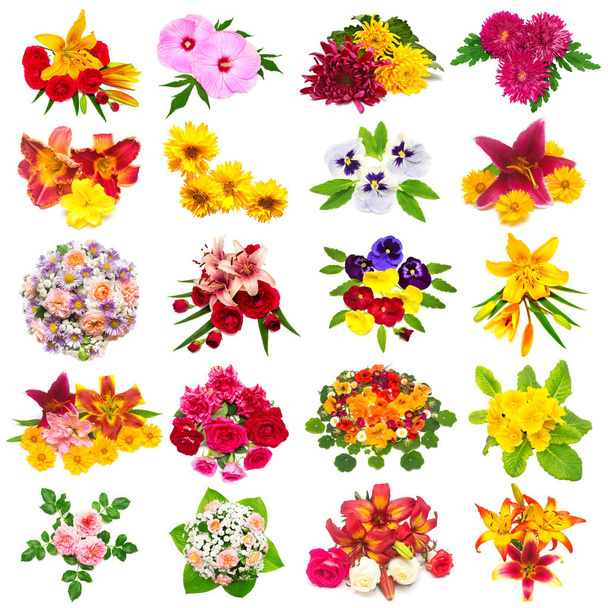 Colección de flores de rosas, lirios, manzanillas, hibisco, chrys
 - Foto, imagen