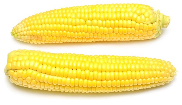 Kukorica, bőr bőrrel vagy anélkül elszigetelt fehér background. Egy c - Fotó, kép