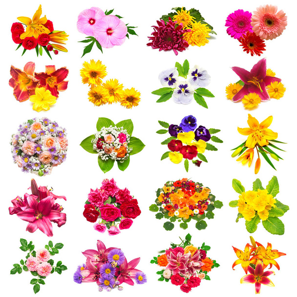 Colección de flores de rosas, lirios, manzanillas, hibisco, chrys
 - Foto, Imagen