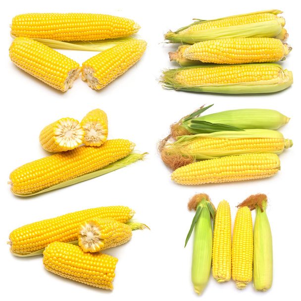 Maïs avec ou sans peau isolée sur fond blanc. A c
 - Photo, image
