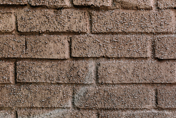 empty brick wall - Foto, Imagem