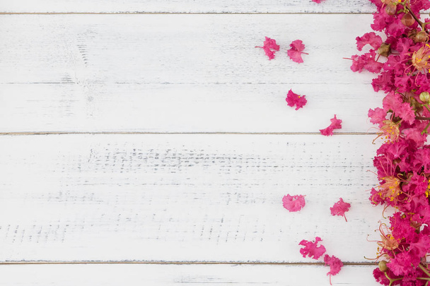 Vaaleanpunainen raapia myrtti kukkia valkoinen puu tausta
 - Valokuva, kuva