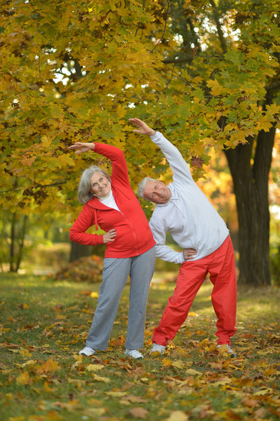  senior couple doing exercises - 写真・画像
