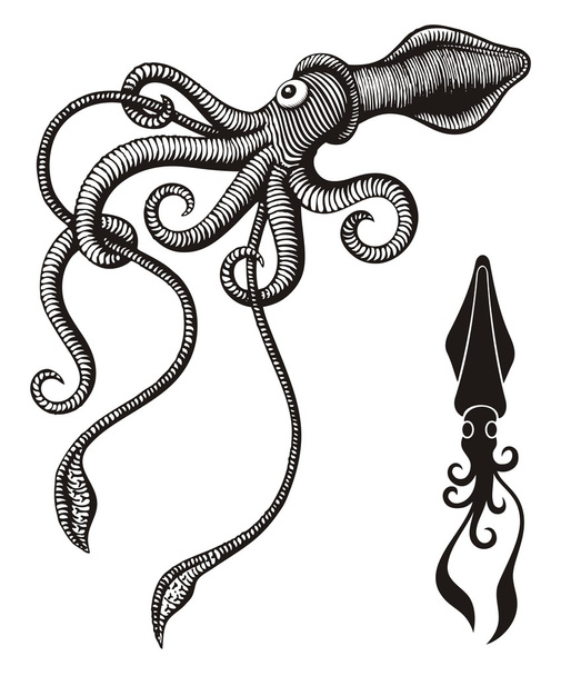 calamar monstruo - Vector, Imagen