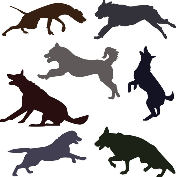 Silhouettes of different dog breeds.  - Vector, Image