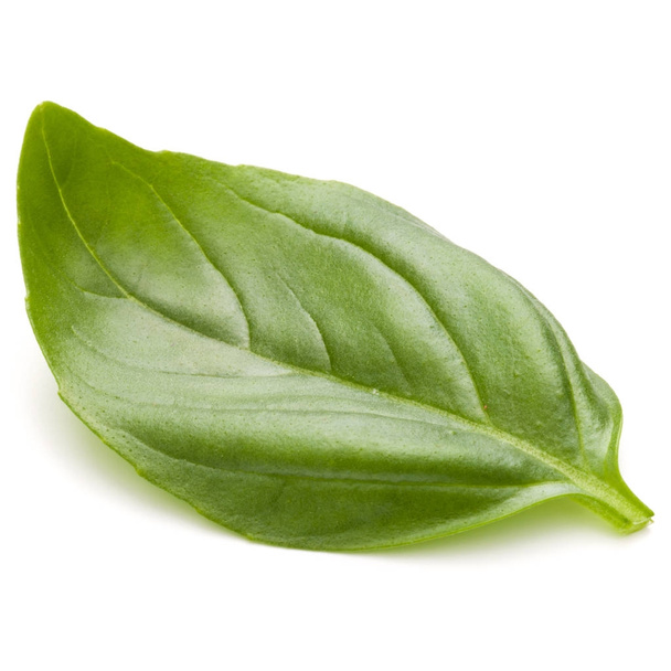 Sweet basil leaves  - Фото, зображення
